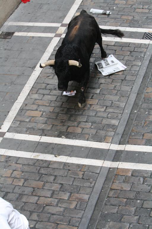 Gran La Perla Pamplona